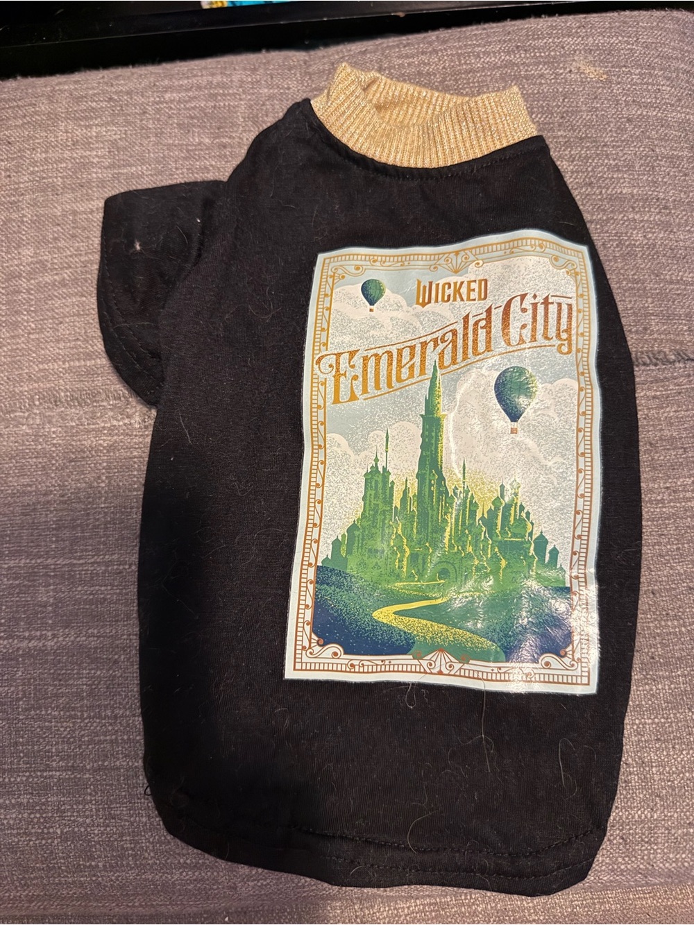 Wicked Emerald City Dog Graphic Tee - Black & Gold XS